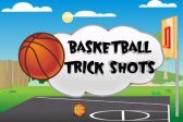 game pic for Basketball Trick Shots Lite